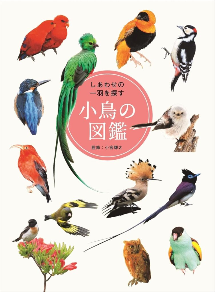 しあわせの一羽を探す 小鳥の図鑑 – 合同会社conté｜書籍・雑誌等の